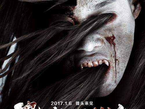 学历证书电子注册备案表在哪里查询